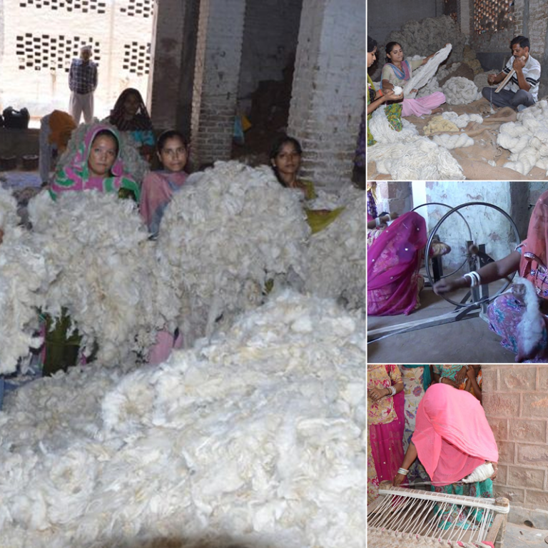 Fifteen years ago a group of women from a small village near Bikaner came to us with a problem