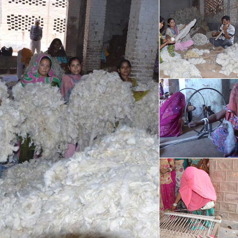 Fifteen years ago a group of women from a small village near Bikaner came to us with a problem